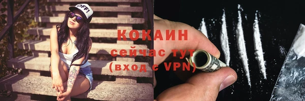 СК Волосово
