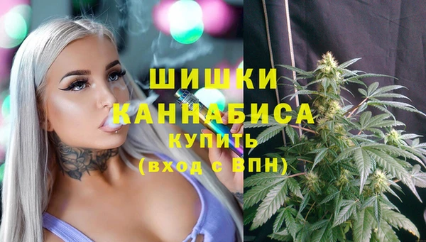 стафф Володарск
