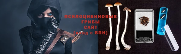 кокаин перу Вяземский