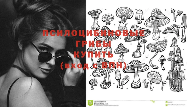 СК Волосово