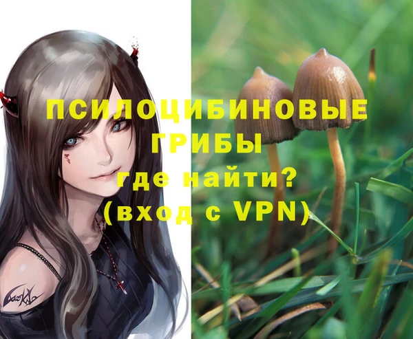 стафф Володарск