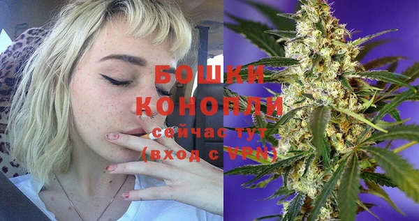 СК Волосово