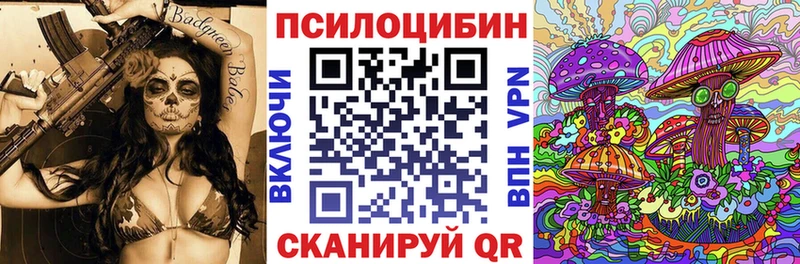 где продают наркотики  Зарайск  Псилоцибиновые грибы мицелий 